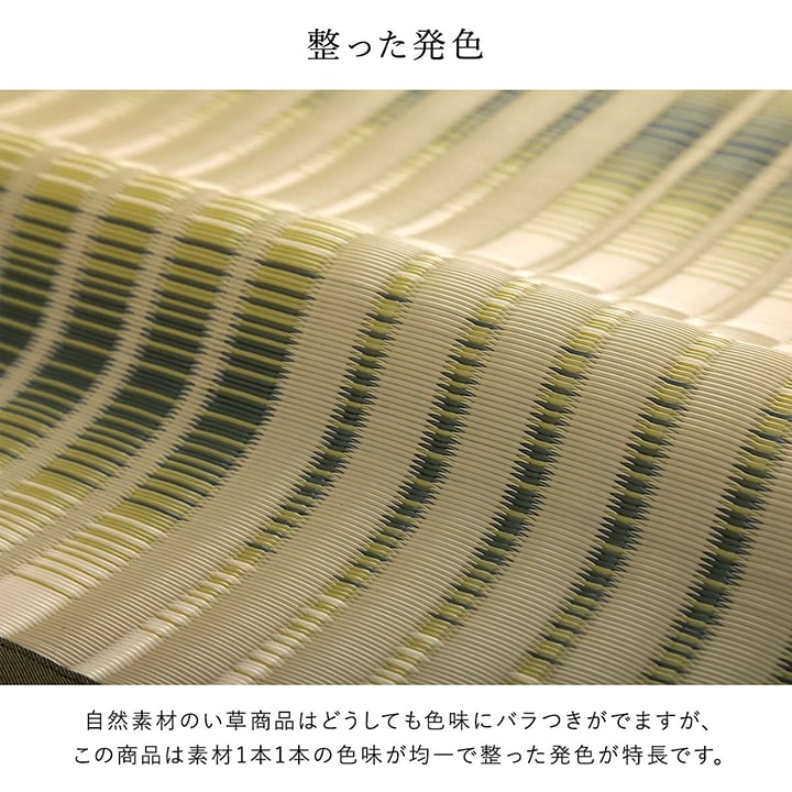 【新商品】洗える ござ 日本製 国産 カーペット 丈夫 除菌スプレー対応 敷詰 ラグ 敷物 アウトドア レジャー ペット 本間10畳（約477.5×382cm） 送料無料