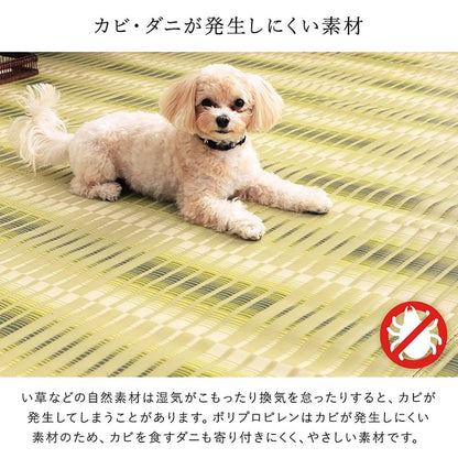 【新商品】洗える ござ 日本製 国産 カーペット 丈夫 除菌スプレー対応 敷詰 ラグ 敷物 アウトドア レジャー ペット 江戸間8畳（約348×352cm） 送料無料