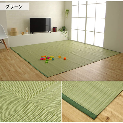 【新商品】ラグ 洗える カーペット 日本製 国産 抗菌 防臭 消臭 アウトドア レジャー 敷物 和室 シンプル 江戸間1畳(約87×174cm) 送料無料