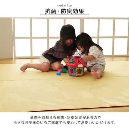 【新商品】ラグ 洗える カーペット 日本製 国産 抗菌 防臭 消臭 アウトドア レジャー 敷物 和室 シンプル 江戸間3畳(約174×261cm) 送料無料
