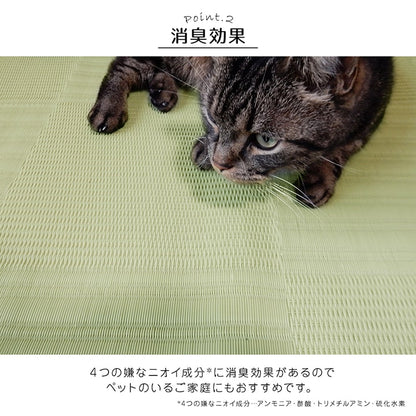 【新商品】ラグ 洗える カーペット 日本製 国産 抗菌 防臭 消臭 アウトドア レジャー 敷物 和室 シンプル 江戸間1畳(約87×174cm) 送料無料