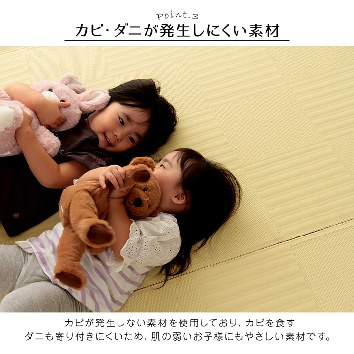 【新商品】ラグ 洗える カーペット 日本製 国産 抗菌 防臭 消臭 アウトドア レジャー 敷物 和室 シンプル 江戸間10畳(約435×352cm) 送料無料
