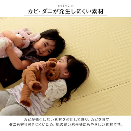 【新商品】ラグ 洗える カーペット 日本製 国産 抗菌 防臭 消臭 アウトドア レジャー 敷物 和室 シンプル 江戸間10畳(約435×352cm) 送料無料