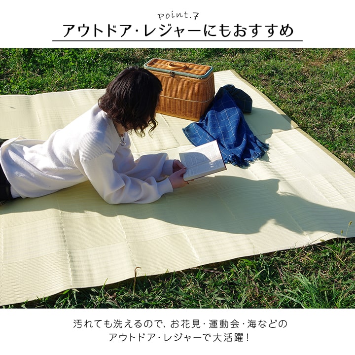 【新商品】ラグ 洗える カーペット 日本製 国産 抗菌 防臭 消臭 アウトドア レジャー 敷物 和室 シンプル 江戸間10畳(約435×352cm) 送料無料