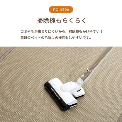 洗える ござ 日本製 国産 カーペット リバーシブル 丈夫 除菌スプレー対応 敷詰 ラグ 敷物 ペット 江戸間8畳（約348×352cm） 送料無料