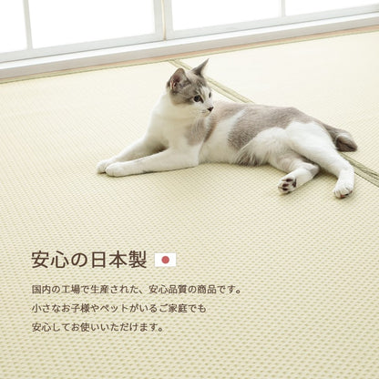 洗える ござ 日本製 国産 カーペット リバーシブル 丈夫 除菌スプレー対応 敷詰 ラグ 敷物 ペット 江戸間6畳（約261×352cm） 送料無料