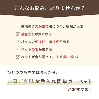 洗える ござ 日本製 国産 カーペット リバーシブル 丈夫 除菌スプレー対応 敷詰 ラグ 敷物 ペット 江戸間10畳（約435×352cm） 送料無料
