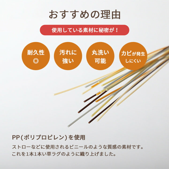 洗える ござ 日本製 国産 カーペット リバーシブル 丈夫 除菌スプレー対応 敷詰 ラグ 敷物 ペット 江戸間4.5畳（約261×261cm） 送料無料