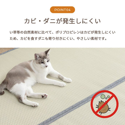 洗える ござ 日本製 国産 カーペット リバーシブル 丈夫 除菌スプレー対応 敷詰 ラグ 敷物 ペット 江戸間4.5畳（約261×261cm） 送料無料