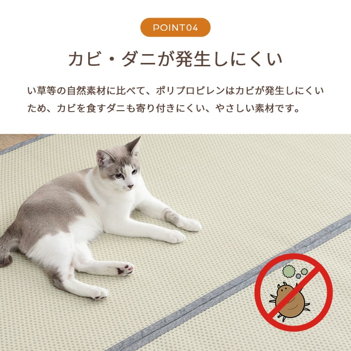 洗える ござ 日本製 国産 カーペット リバーシブル 丈夫 除菌スプレー対応 敷詰 ラグ 敷物 ペット 江戸間1畳（約87×174cm） 送料無料