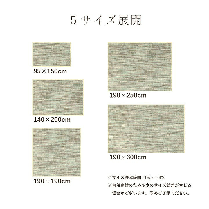 ラグ バンブー 竹 グラデーション 抗菌防臭 消臭 夏 オールシーズン 滑り止めシート付き 約190×250cm 送料無料