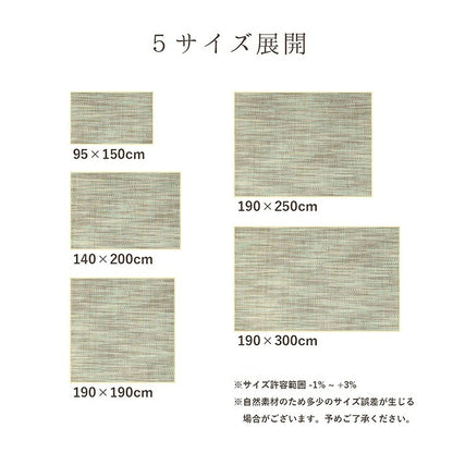 ラグ バンブー 竹 グラデーション 抗菌防臭 消臭 夏 オールシーズン 滑り止めシート付き 約190×250cm 送料無料