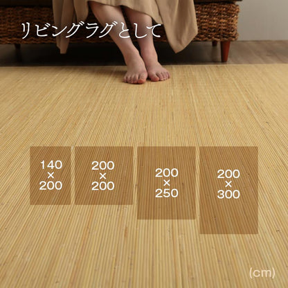 籐 ラグ カーペット 自然素材 ひんやり インドネシア産 むしろ 江戸間4.5畳 約261×261cm 送料無料