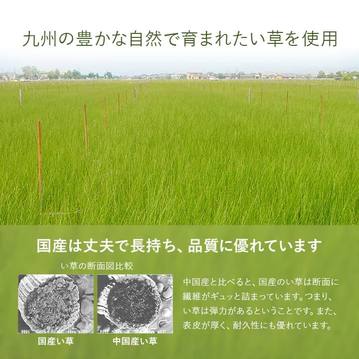 置き畳 半畳 国産 い草 簡単 和室 約82×82cm 12枚組 送料無料 - 【公式】allecore(アレコレ) 家具インテリア・生活雑貨のオンライン通販