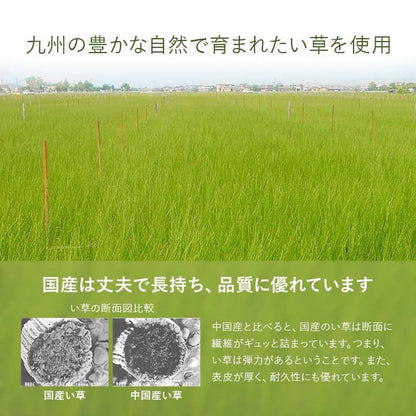 置き畳 半畳 国産 い草 簡単 和室 約82×82cm 12枚組 送料無料 - 【公式】allecore(アレコレ) 家具インテリア・生活雑貨のオンライン通販