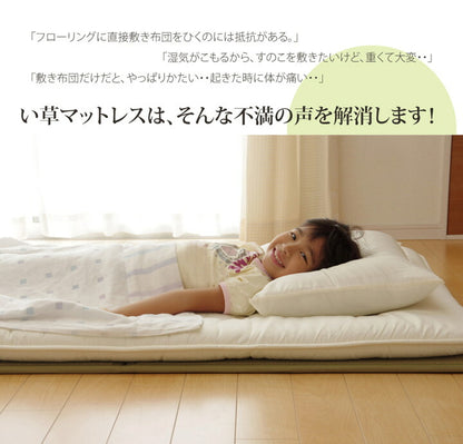 【新商品】マットレス セミダブル 三つ折り い草 置き畳 国産 『い草マットレス』 約120×210cm （裏:不織布） 送料無料