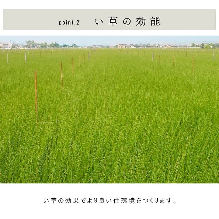 国産 い草 日本製 置き畳 ユニット畳 簡単 和室 3層 約70×70×1.5cm 6P 送料無料
