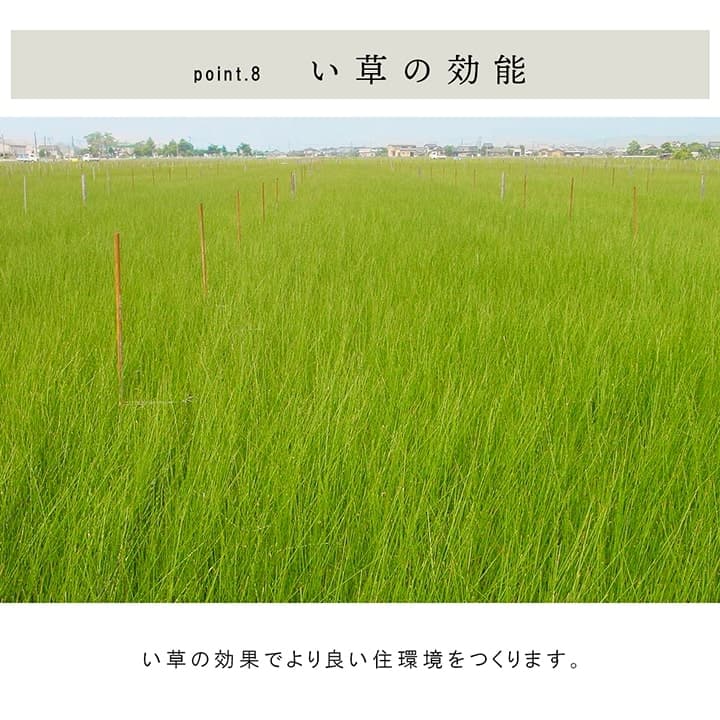 国産 い草 日本製 置き畳 ユニット畳 簡単 和室 6層 約70×70×4.5cm 4P 送料無料