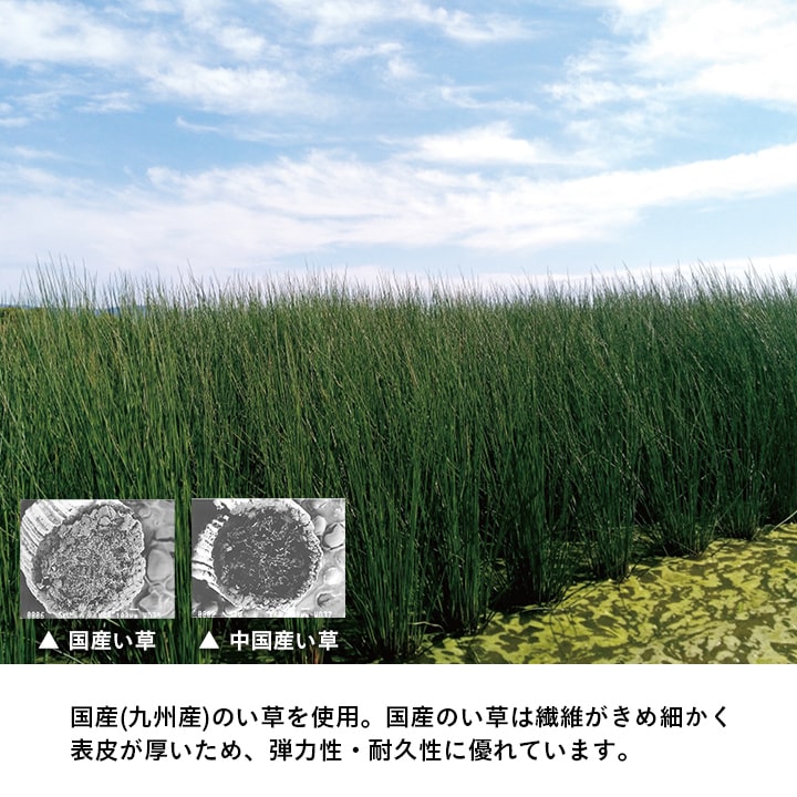 置き畳 い草 日本製 消臭 抗菌防臭 ダニ増殖抑制 無地 約82×82×1.8cm 9P 9枚組 送料無料
