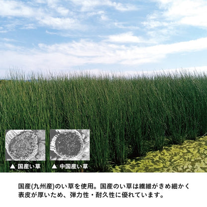 置き畳 い草 日本製 消臭 抗菌防臭 ダニ増殖抑制 無地 約82×82×1.8cm 9P 9枚組 送料無料