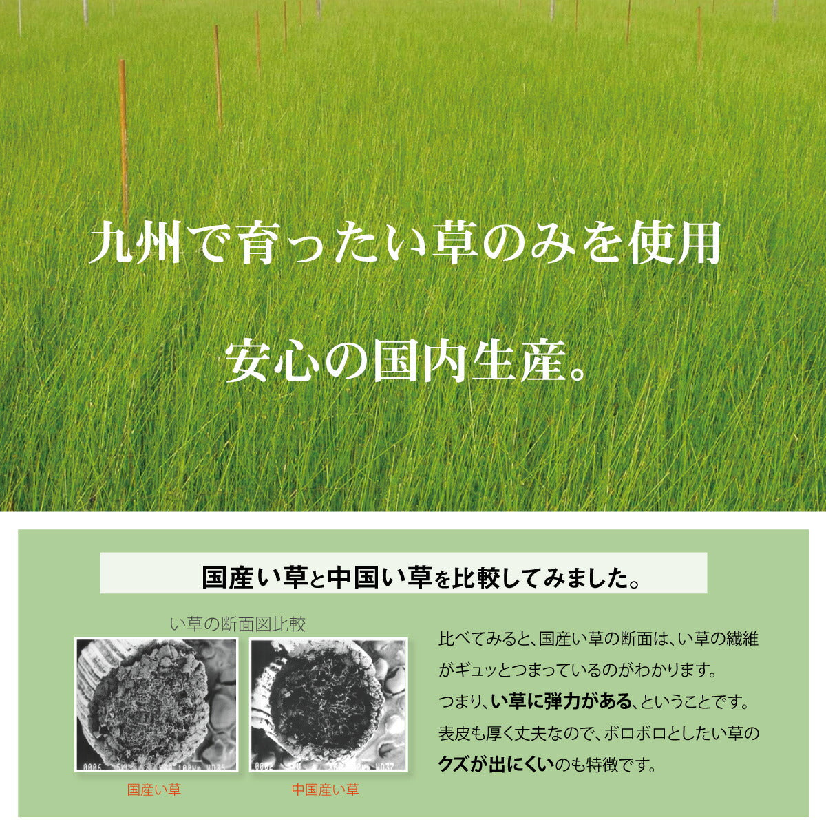 日本製 い草 い草シーツ 子供用 お昼寝 シンプル 星柄 約70×120cm 送料無料