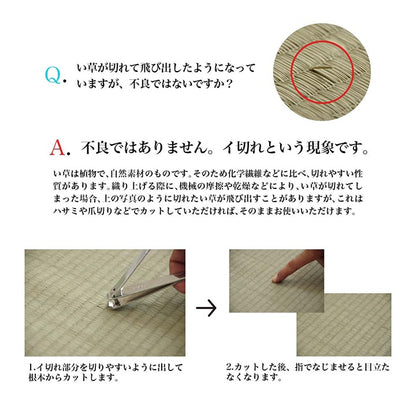 日本製 い草 い草マット  マット  ごろ寝マット  フリーマット  クッション性 和風柄   約70×180cm 送料無料