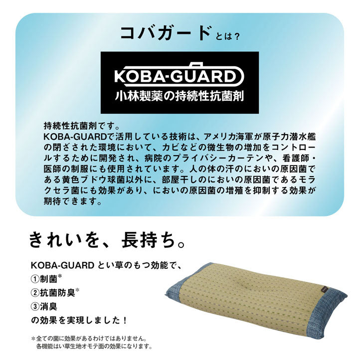 枕 まくら い草 消臭 ごろ寝 抗菌防臭 消臭 シンプル 小林製薬コバガード使用 約50×30cm 送料無料
