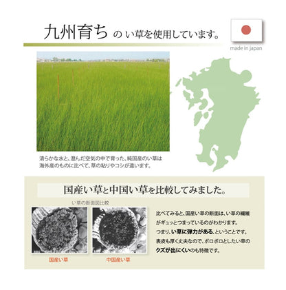 枕 まくら い草枕 消臭 ピロー 国産 無地 ベビー キッズ 『さわやか 平枕』 約30×20cm 送料無料