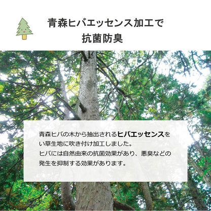 日本製 い草 い草マット 子供用 お昼寝 シンプル 星柄 約70×120cm 送料無料