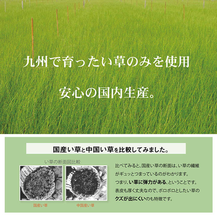 日本製 い草 い草マット 子供用 お昼寝 シンプル 星柄 約70×120cm 送料無料