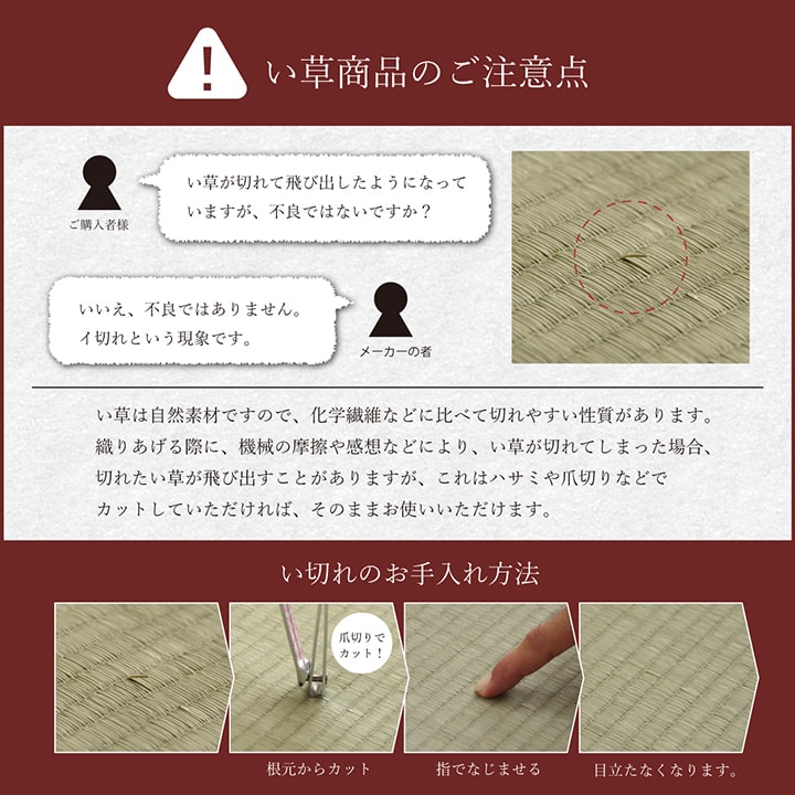 い草 い草マット 国産 ごろ寝マット くつろぎ 折畳み可 約90×200cm 送料無料