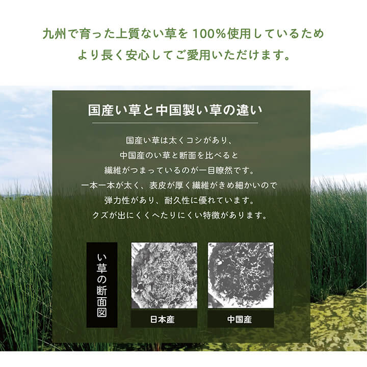 枕 まくら い草 高さが調整できる さらさら 消臭 シンプル 無地 平枕 約50×30cm 送料無料
