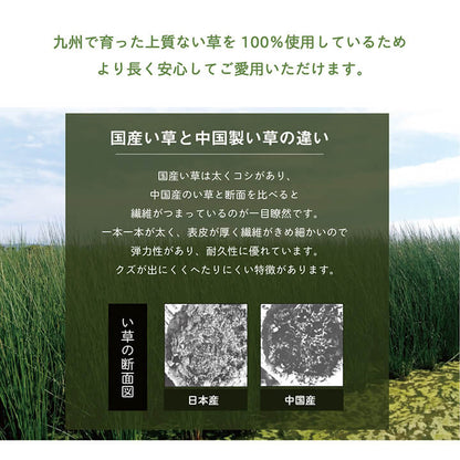 枕 まくら い草 高さが調整できる さらさら 消臭 シンプル 無地 平枕 約50×30cm 送料無料