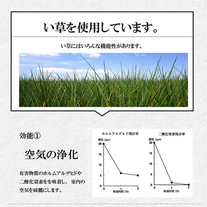い草 くつろぐ ごろ寝 寄りかかり クッション さらさら 消臭 シンプル 約60×50×20cm 送料無料