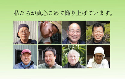 純国産 い草のシーツ（寝ござ） 『新大目舞子』 シングル約88×180cm 送料無料