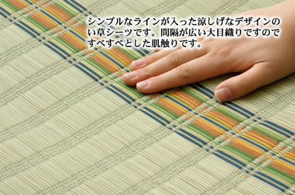 純国産 い草のシーツ（寝ござ） 『新大目舞子』 シングル約88×180cm 送料無料