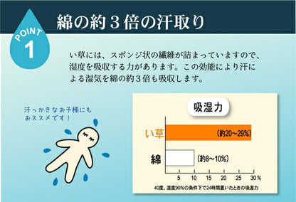 純国産 い草のシーツ（寝ござ） 『新大目舞子』 シングル約88×180cm 送料無料