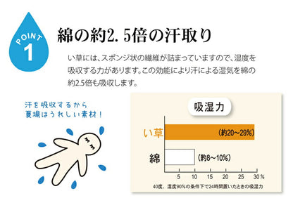 固わた40mm入り い草ごろ寝フリーマット（おやじの場所) 『大和』 約70×150cm 送料無料