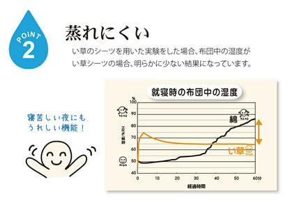 固わた40mm入り い草ごろ寝フリーマット（おやじの場所) 『大和』 約70×150cm 送料無料