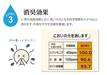 固わた40mm入り い草ごろ寝フリーマット（おやじの場所) 『大和』 約70×150cm 送料無料