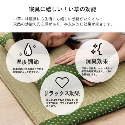 寝具 枕 平枕 い草 吸湿 調湿効果 抗菌防臭 50×30cm 送料無料