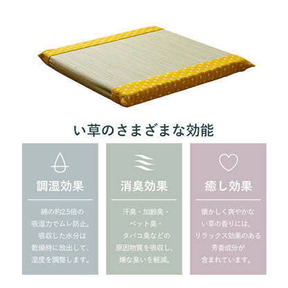 クッション い草 おしゃれ 和室 洋室 ウレタン 調湿効果 抗菌防臭 四角 40×40cm 送料無料