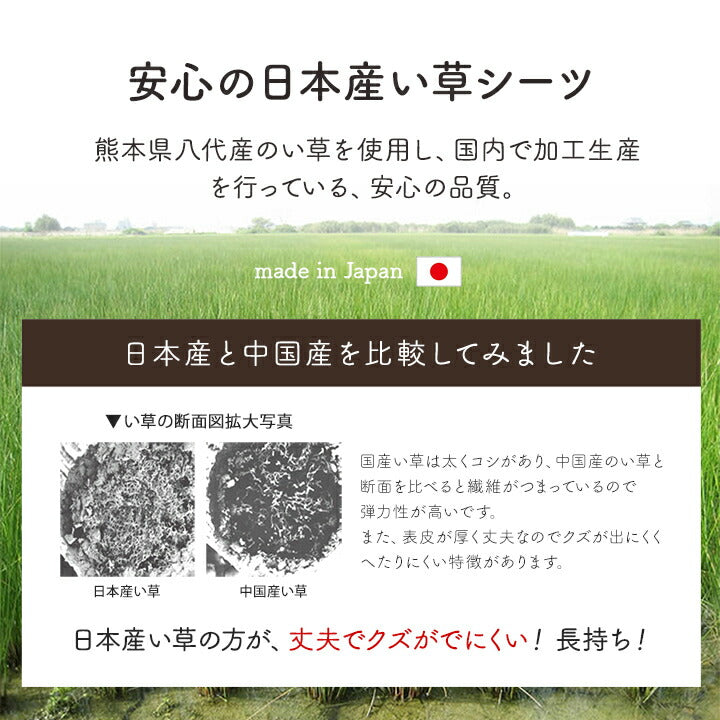寝具 シーツ い草 吸湿 調湿効果 抗菌防臭 88×180cm 送料無料