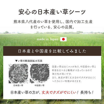 寝具 シーツ い草 吸湿 調湿効果 抗菌防臭 88×180cm 送料無料