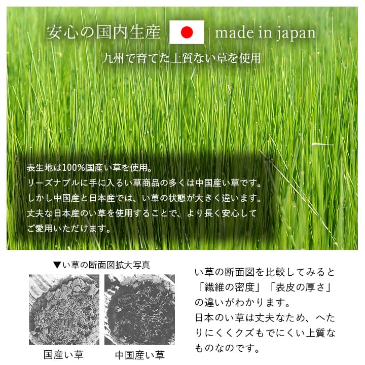【新商品】寝具 マット マットレス い草 コンパクト 調湿効果 抗菌防臭 90×200cm 送料無料
