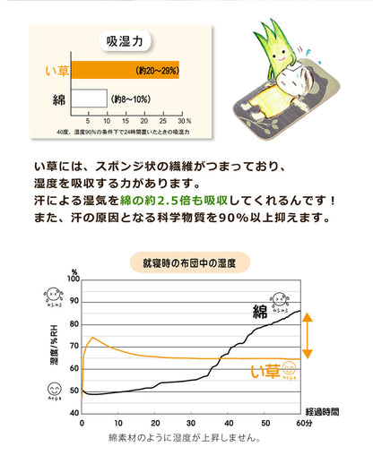 長座布団 い草 アニマル柄 『ござまる  長座布団』 ふくろう 約55×110cm 送料無料