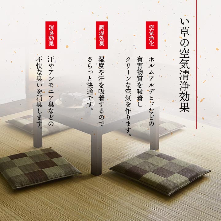 日本製 い草 座布団 クッション ブロック柄 2枚組 約55×55cm  送料無料 - 【公式】allecore(アレコレ) 家具インテリア・生活雑貨のオンライン通販