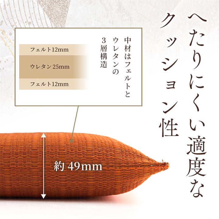 座布団 い草座布団 日本製 抗菌防臭 消臭 湿度調整 蒸れにくい 涼しい モダン 無地 2枚組 55×55cm 送料無料