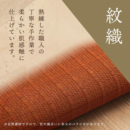 座布団 い草座布団 日本製 抗菌防臭 消臭 湿度調整 蒸れにくい 涼しい モダン 無地 2枚組 55×55cm 送料無料