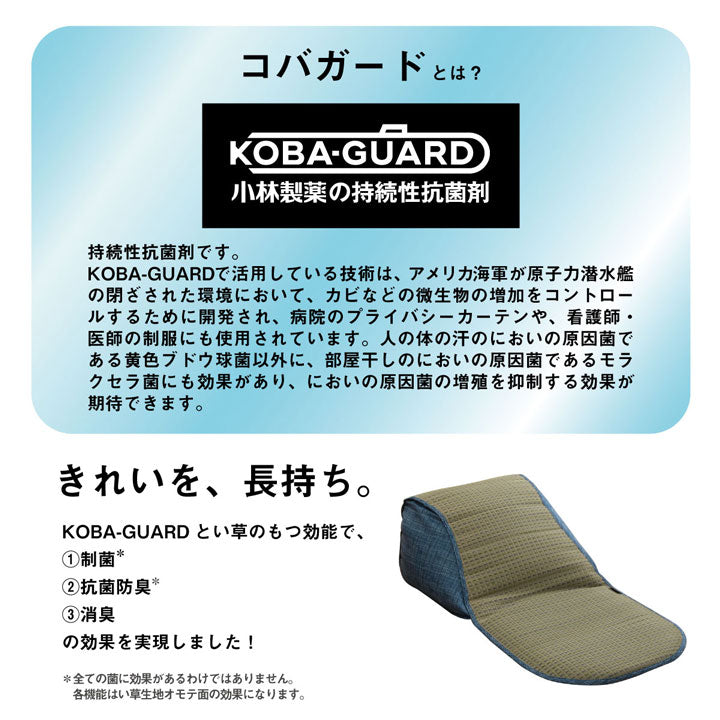 クッション くつろぎ ごろごろ い草 抗菌防臭 消臭 シンプル 小林製薬コバガード使用 約48×90cm 送料無料